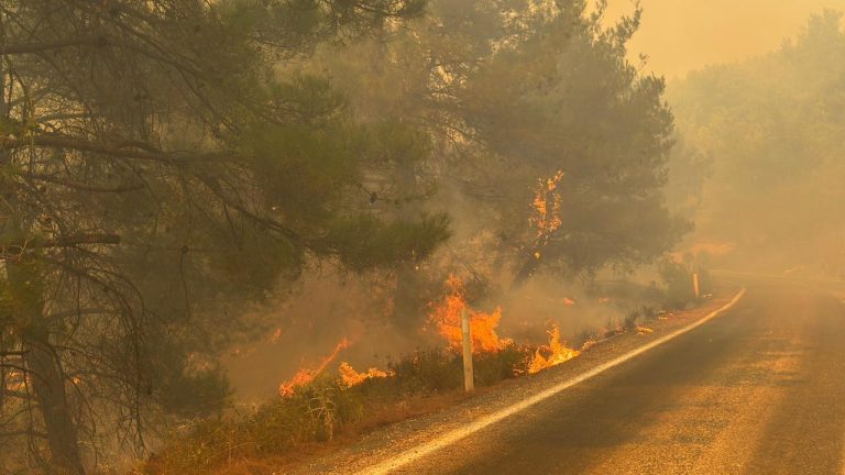 Orman yangınıyla ilgili 12 şüpheli tutuklandı