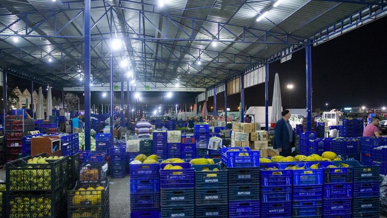 Yaş meyve ihracatı, 7 ayda 1 milyar doları aştı