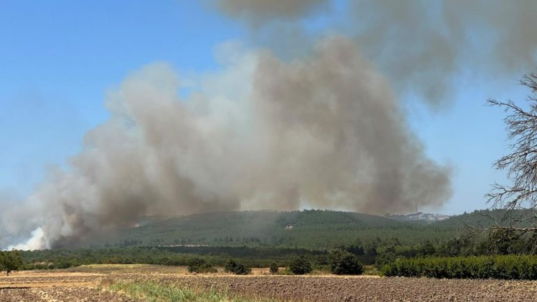 Bursa'da orman dışı alanda yangın