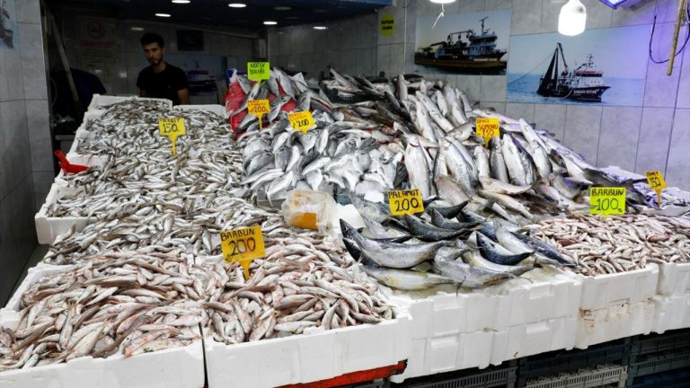 İstanbul'da balık tezgahlarına bolluk geldi